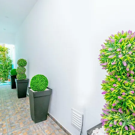 Cozy/hip Studio+terrace 1010d *